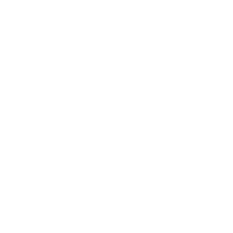 Alpkit White Logo