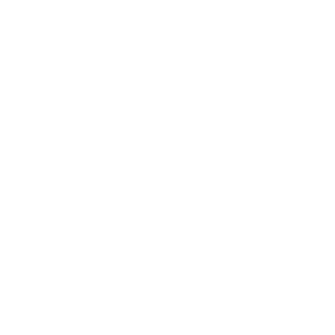Crawley College White Logo