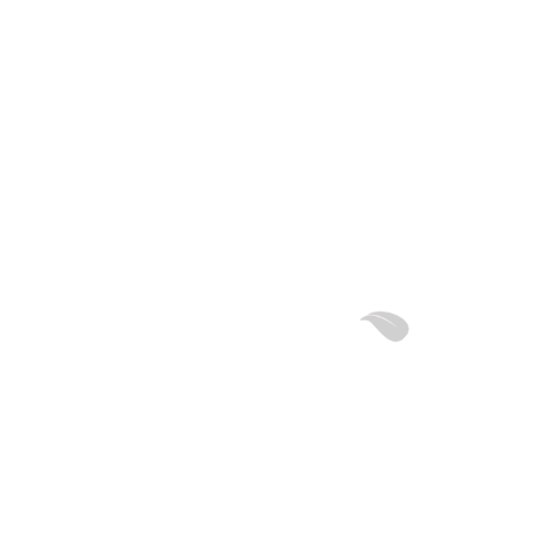 Dog Training College White Logo