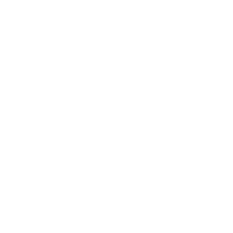 Prosper White Logo