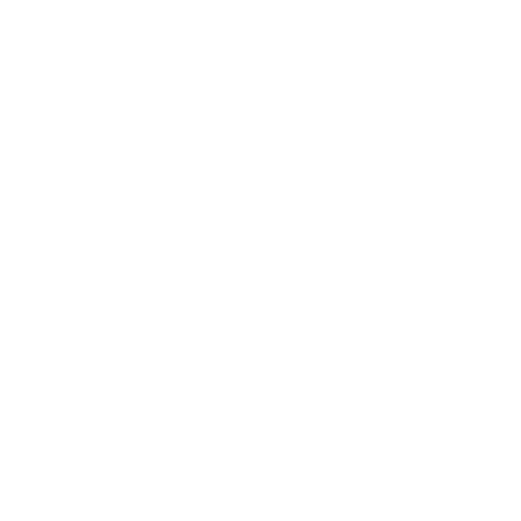 SpringBoard White Logo